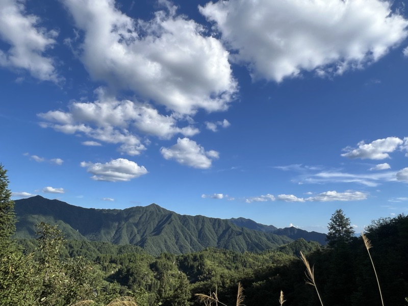 山